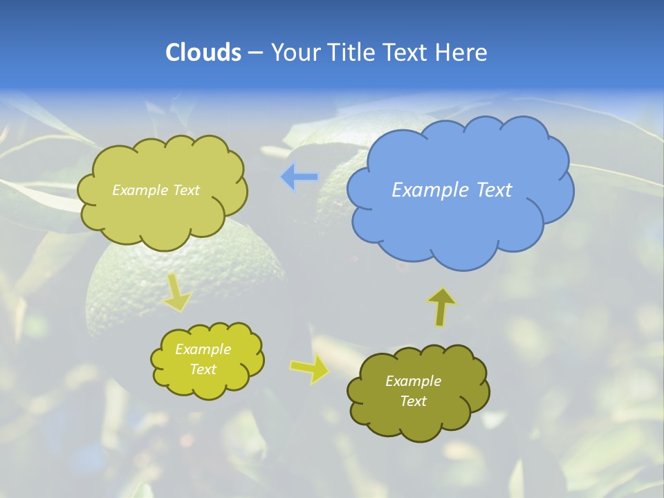 Green Tangerines PowerPoint Template
