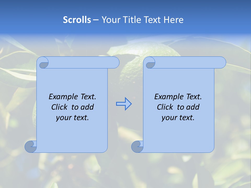 Green Tangerines PowerPoint Template