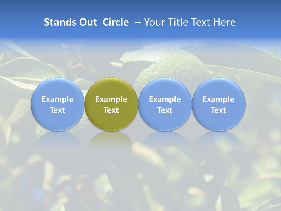 Green Tangerines PowerPoint Template