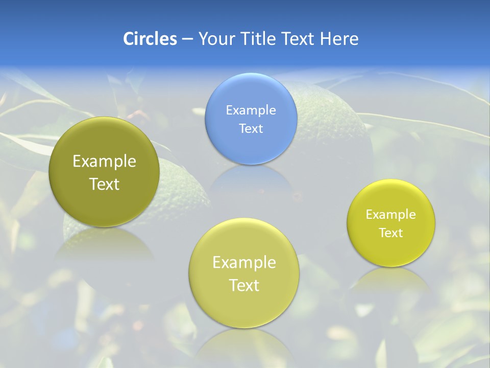 Green Tangerines PowerPoint Template