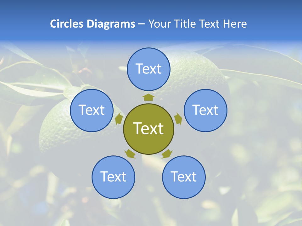 Green Tangerines PowerPoint Template