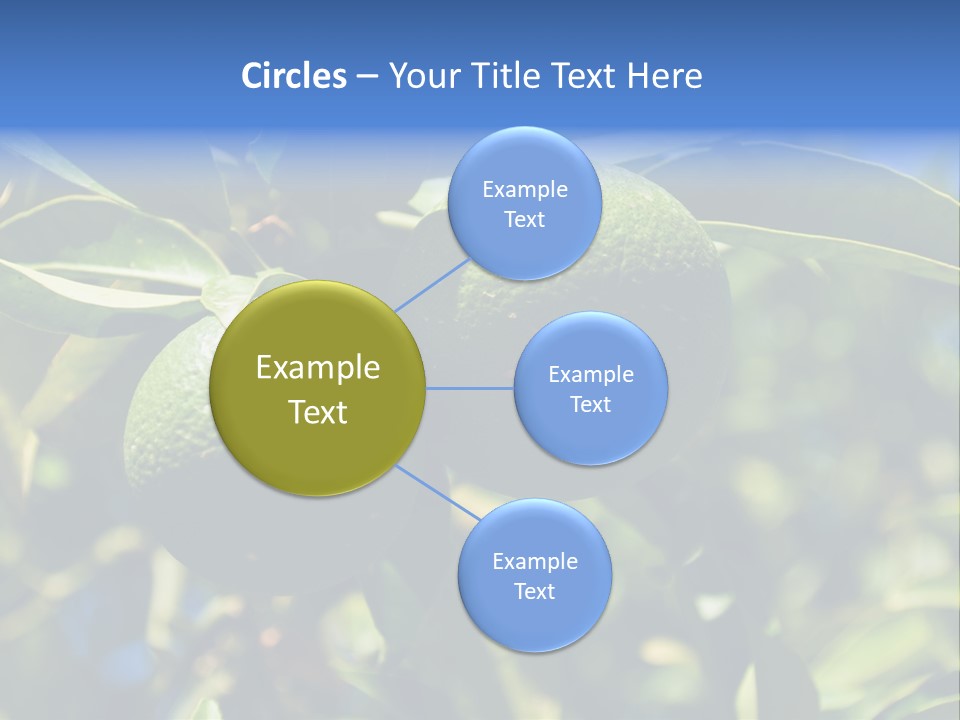 Green Tangerines PowerPoint Template
