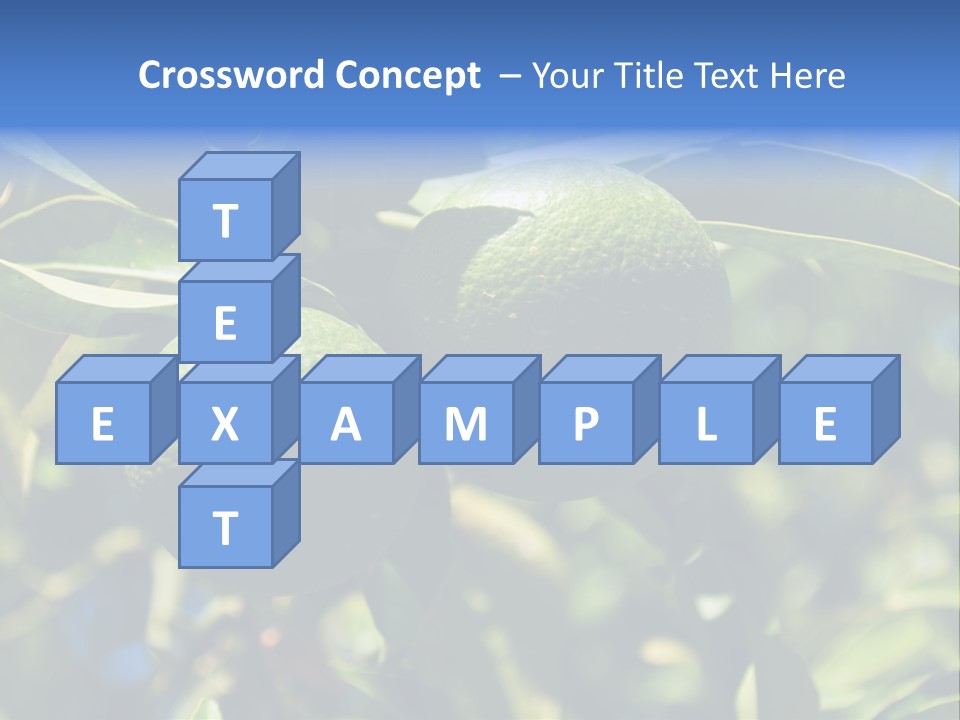 Green Tangerines PowerPoint Template