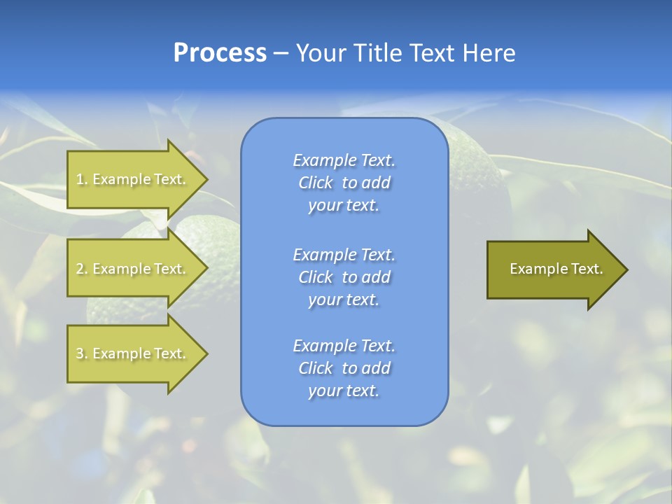 Green Tangerines PowerPoint Template