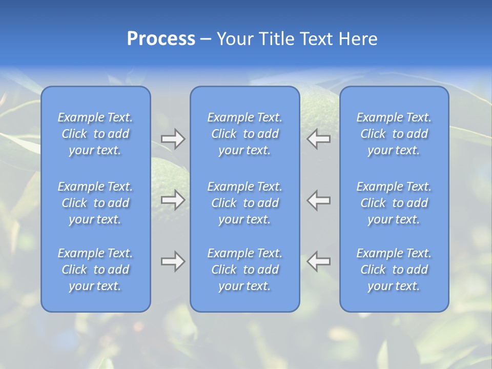 Green Tangerines PowerPoint Template