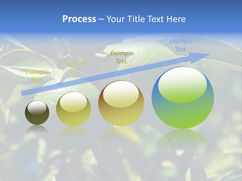 Green Tangerines PowerPoint Template