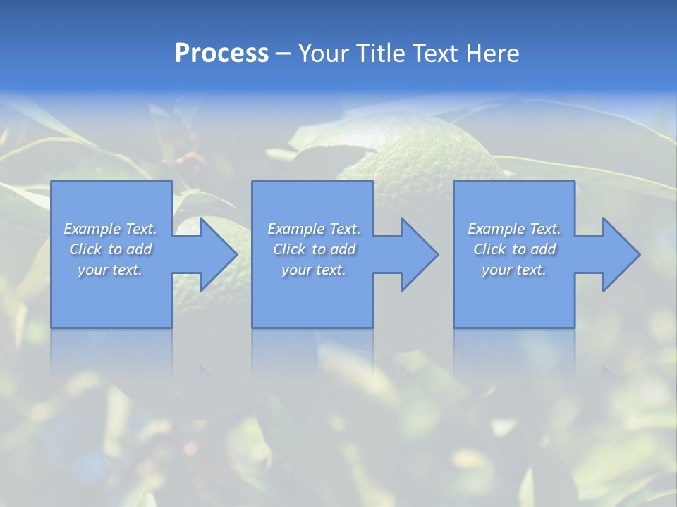 Green Tangerines PowerPoint Template