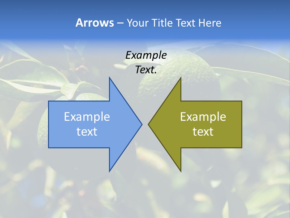 Green Tangerines PowerPoint Template