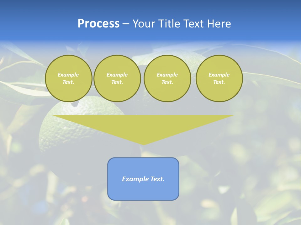 Green Tangerines PowerPoint Template