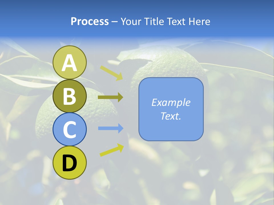 Green Tangerines PowerPoint Template