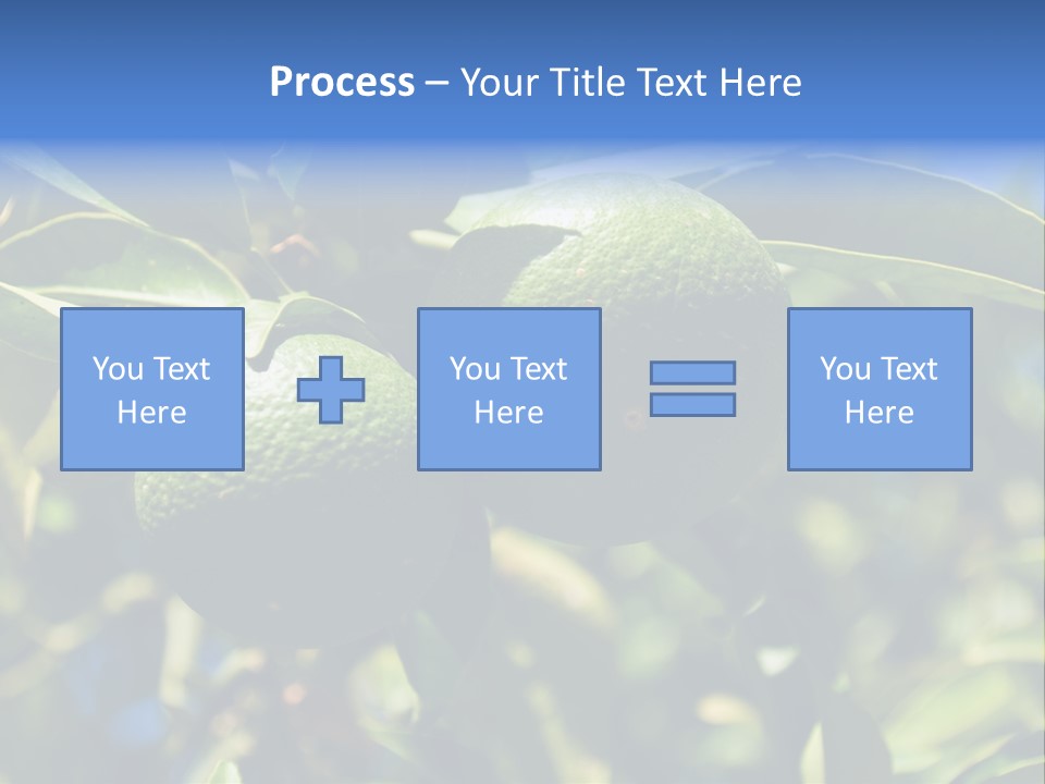 Green Tangerines PowerPoint Template