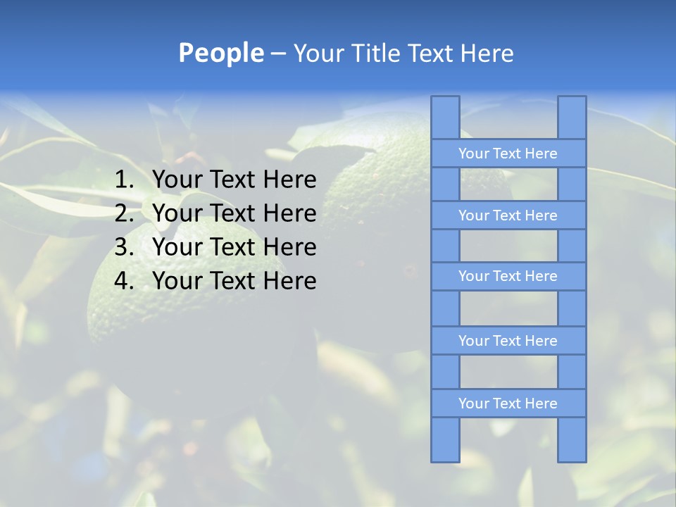 Green Tangerines PowerPoint Template