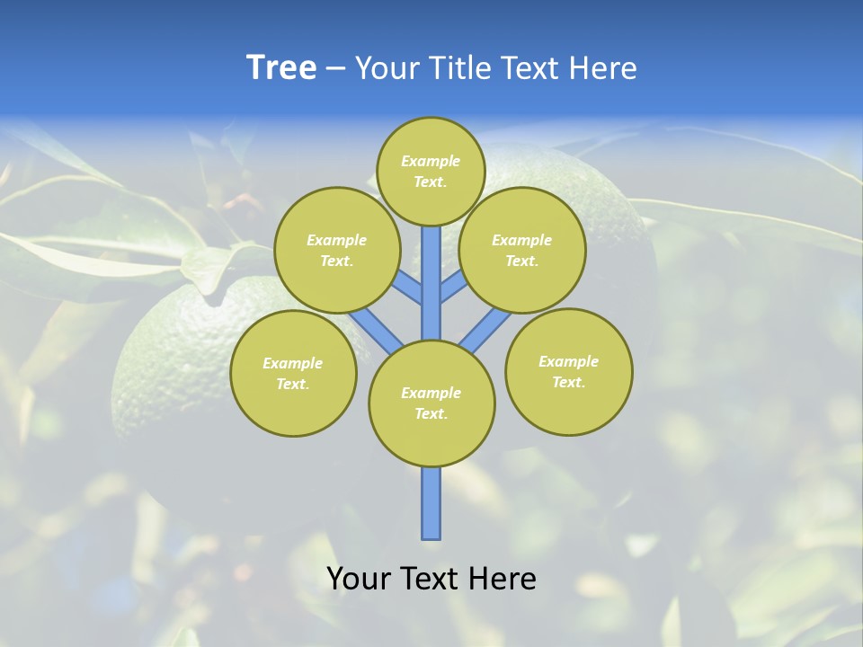 Green Tangerines PowerPoint Template
