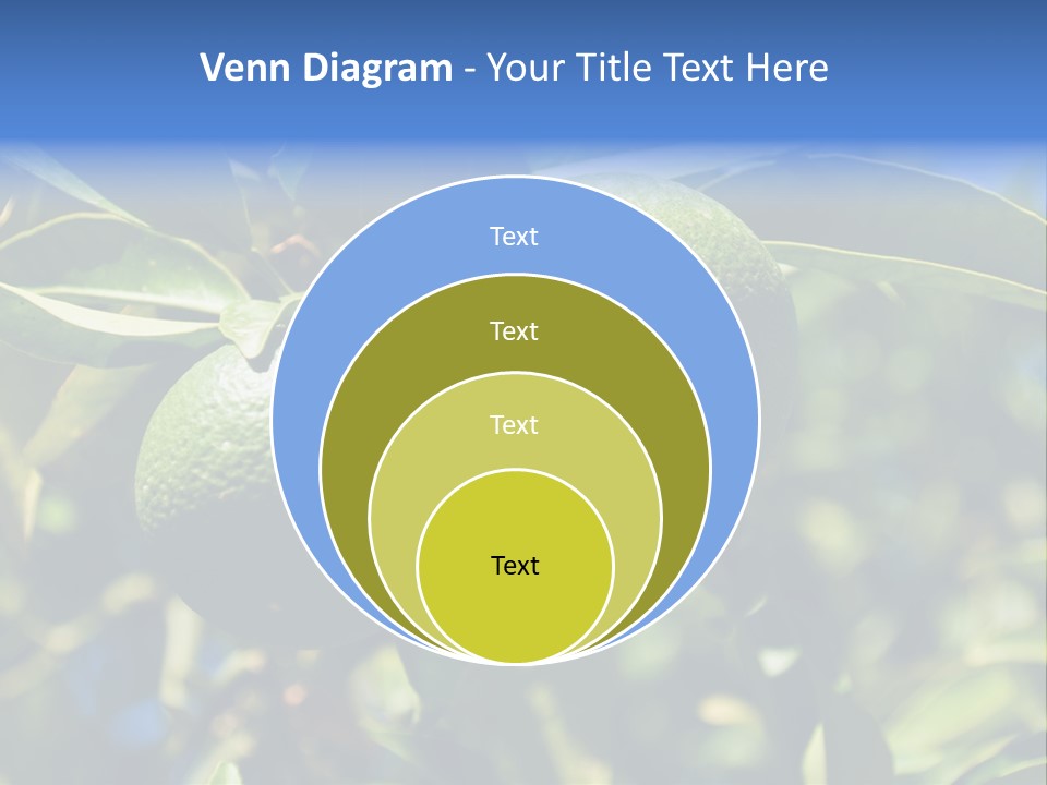 Green Tangerines PowerPoint Template