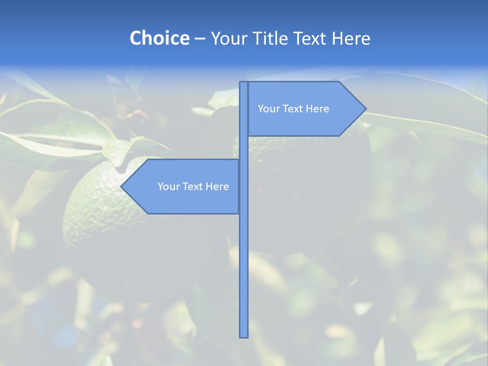 Green Tangerines PowerPoint Template