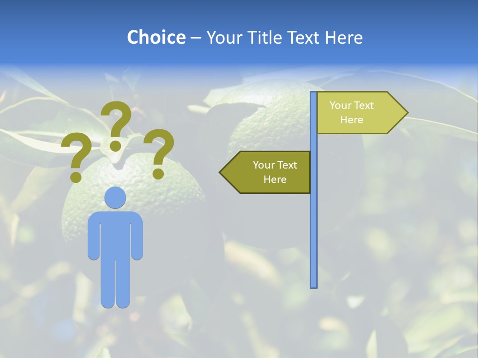 Green Tangerines PowerPoint Template