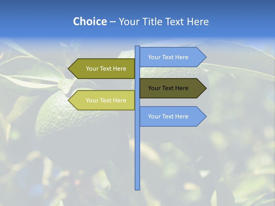 Green Tangerines PowerPoint Template