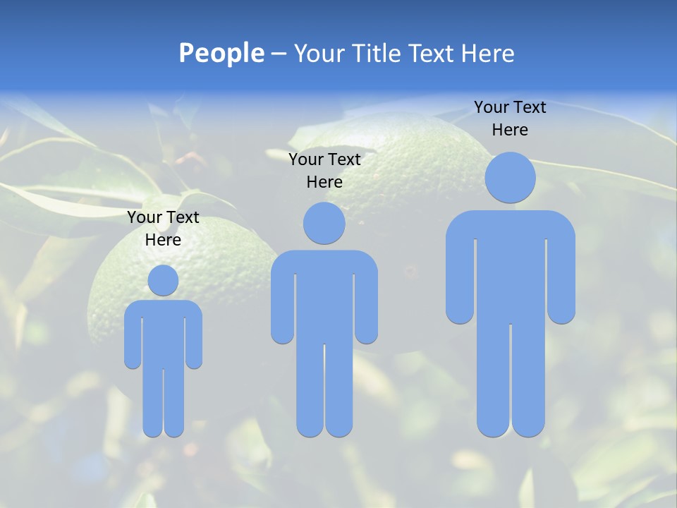 Green Tangerines PowerPoint Template