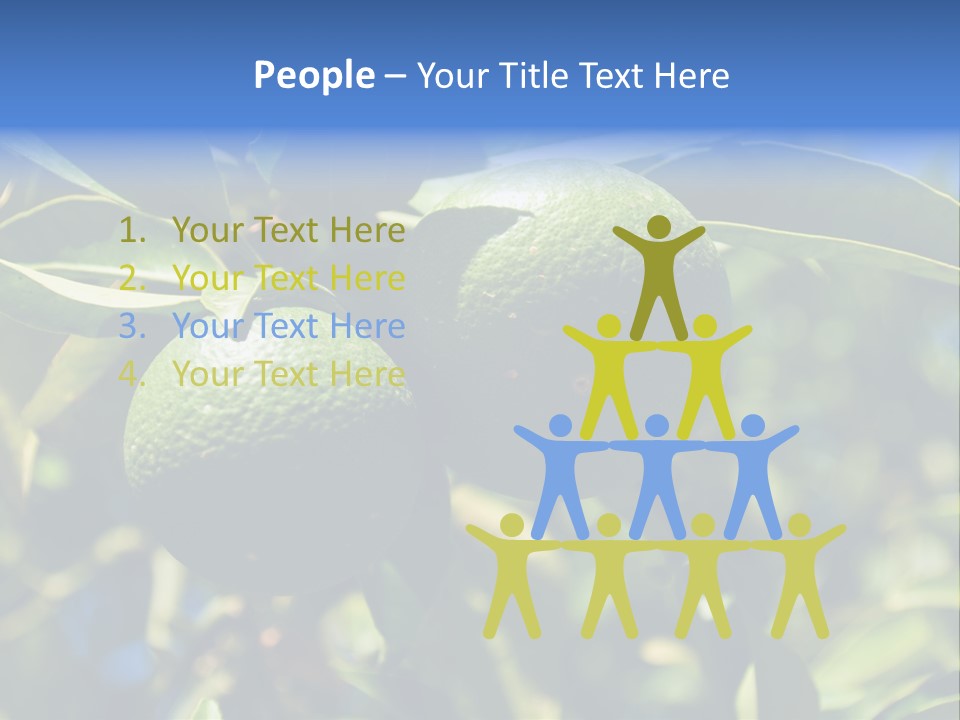 Green Tangerines PowerPoint Template