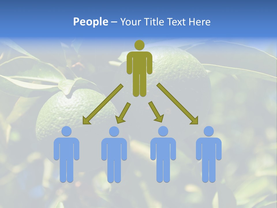 Green Tangerines PowerPoint Template