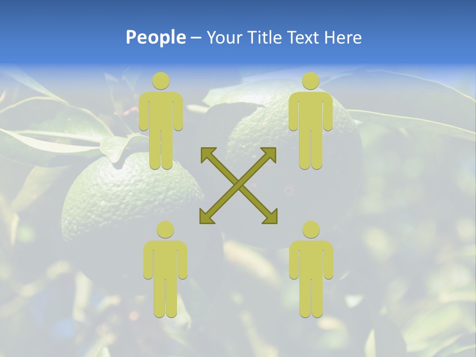 Green Tangerines PowerPoint Template