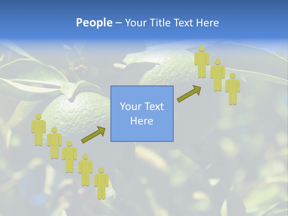 Green Tangerines PowerPoint Template