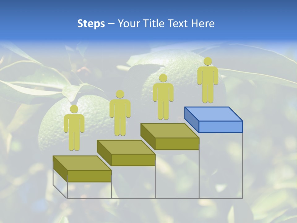 Green Tangerines PowerPoint Template