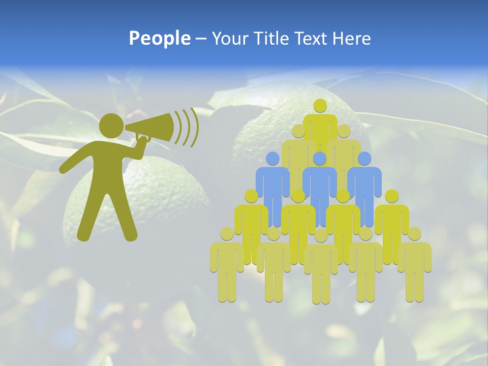 Green Tangerines PowerPoint Template