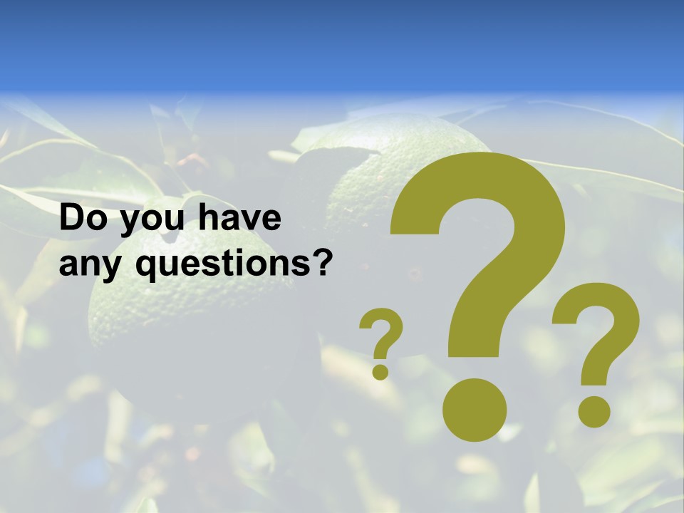 Green Tangerines PowerPoint Template