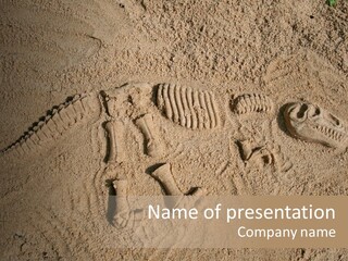 Tyrannosaurus Rex PowerPoint Template