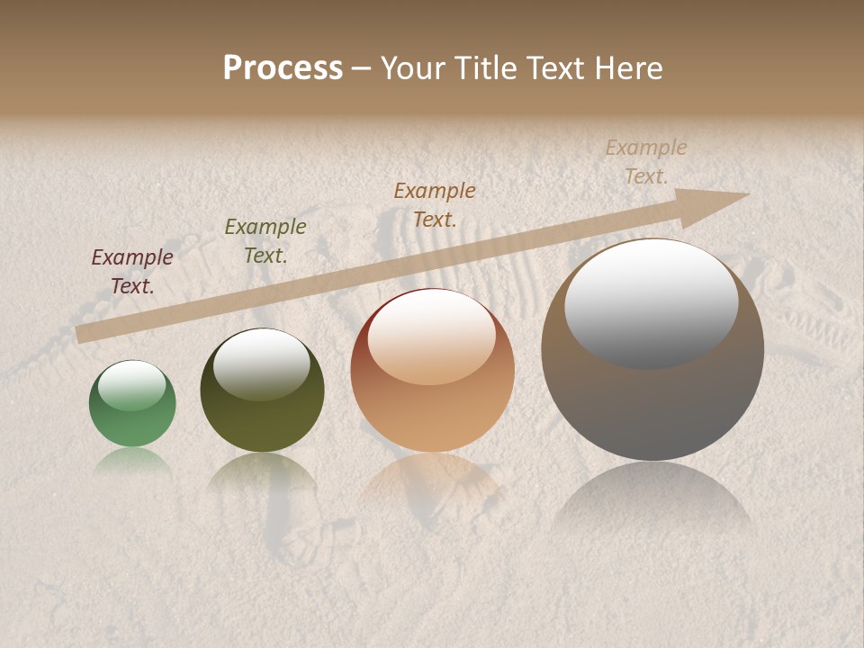 Tyrannosaurus Rex PowerPoint Template