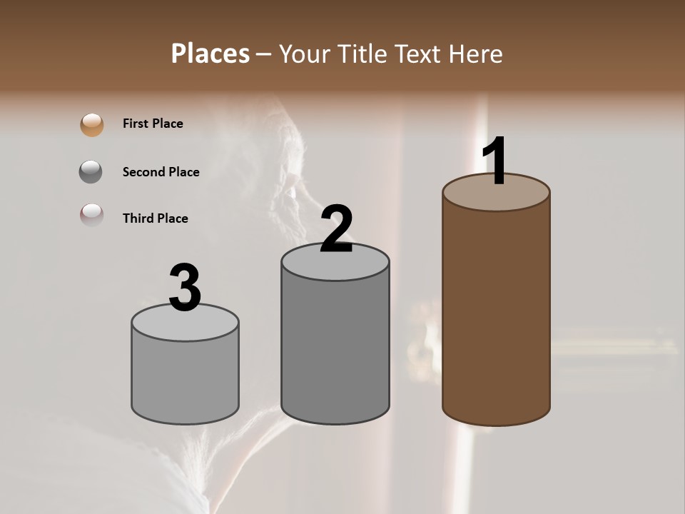 Senior Woman Using A Security Chain On Front Door PowerPoint Template