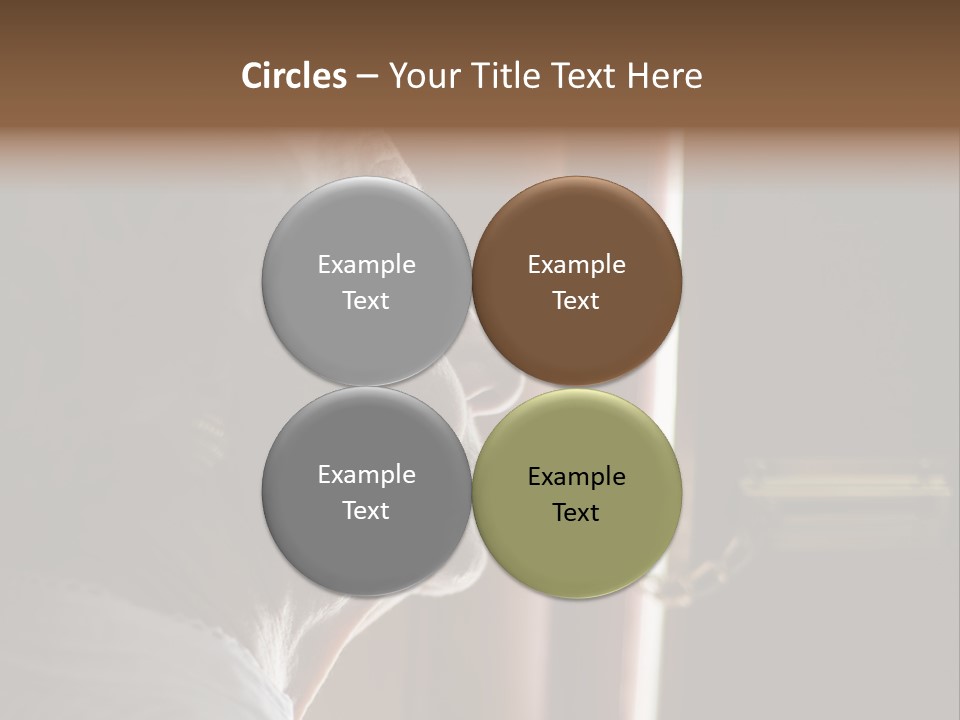 Senior Woman Using A Security Chain On Front Door PowerPoint Template