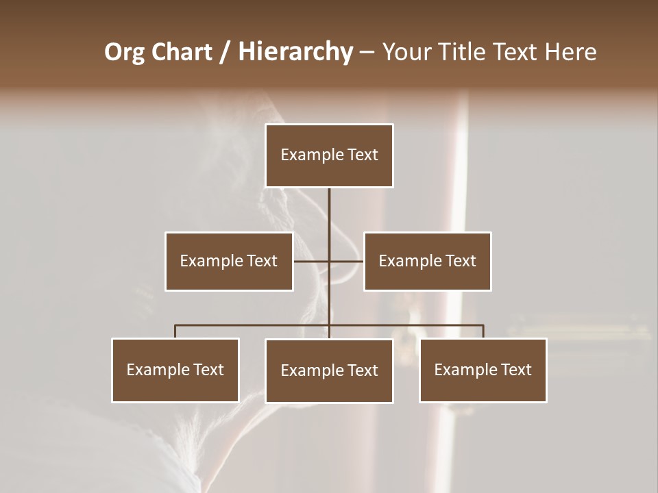 Senior Woman Using A Security Chain On Front Door PowerPoint Template
