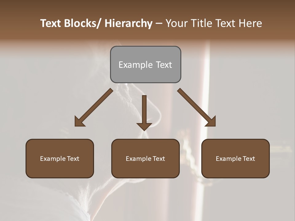 Senior Woman Using A Security Chain On Front Door PowerPoint Template