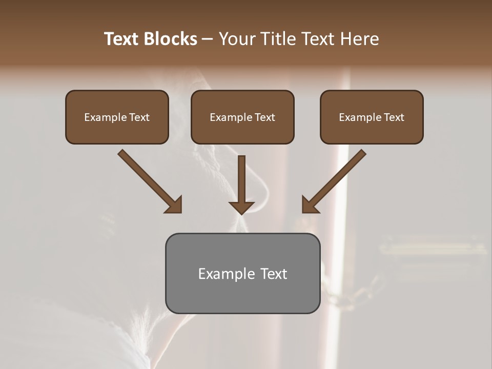 Senior Woman Using A Security Chain On Front Door PowerPoint Template
