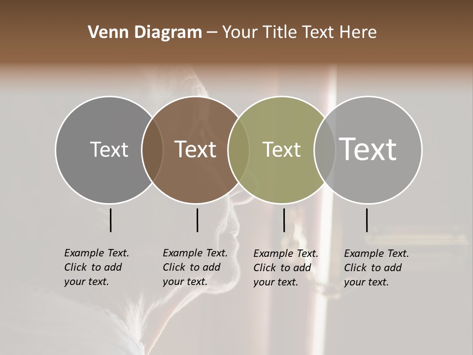 Senior Woman Using A Security Chain On Front Door PowerPoint Template