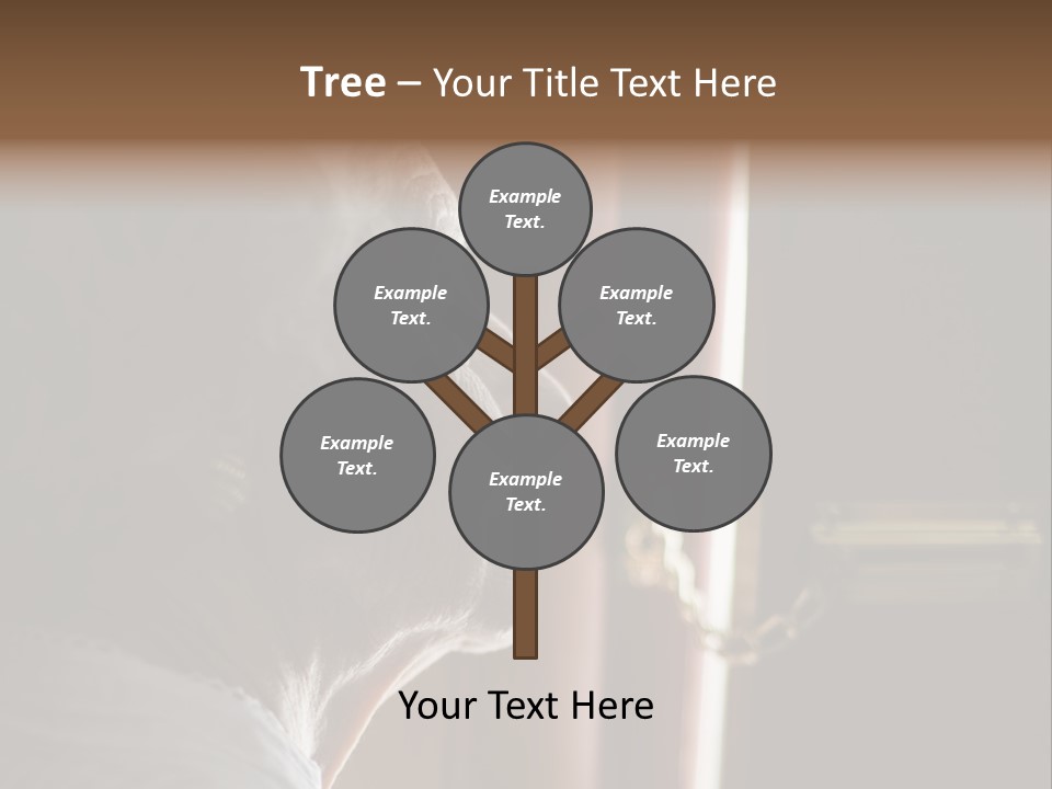 Senior Woman Using A Security Chain On Front Door PowerPoint Template