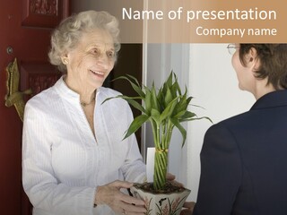 Attractive Senior Woman Receiving Gift Of Bamboo Plant At Front Door PowerPoint Template