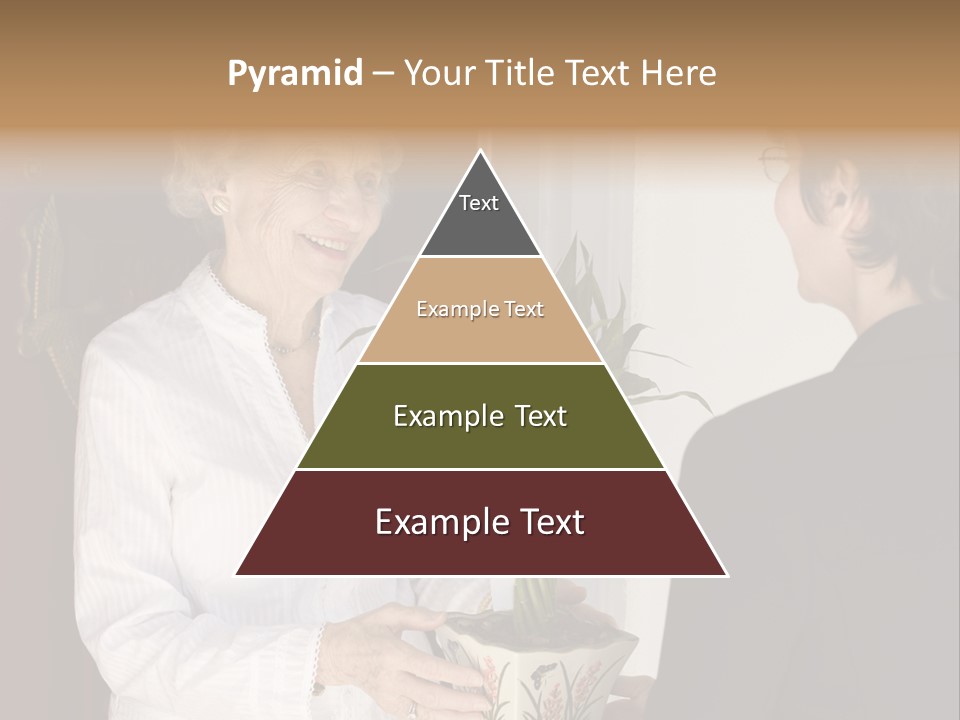 Attractive Senior Woman Receiving Gift Of Bamboo Plant At Front Door PowerPoint Template