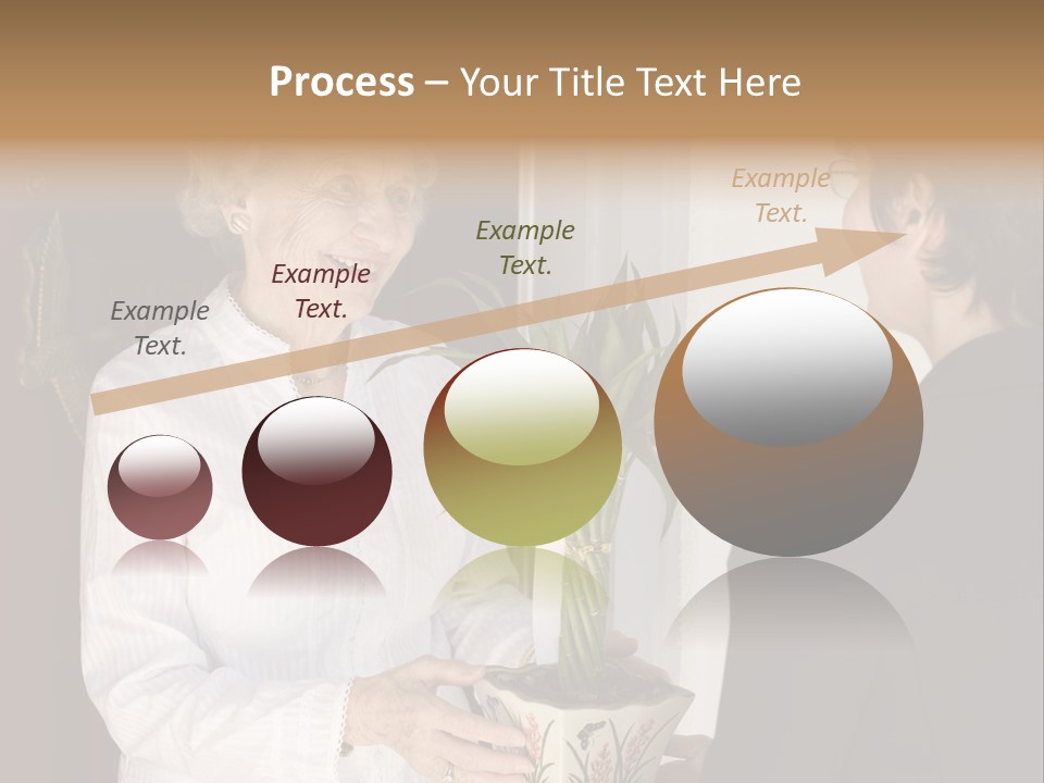 Attractive Senior Woman Receiving Gift Of Bamboo Plant At Front Door PowerPoint Template