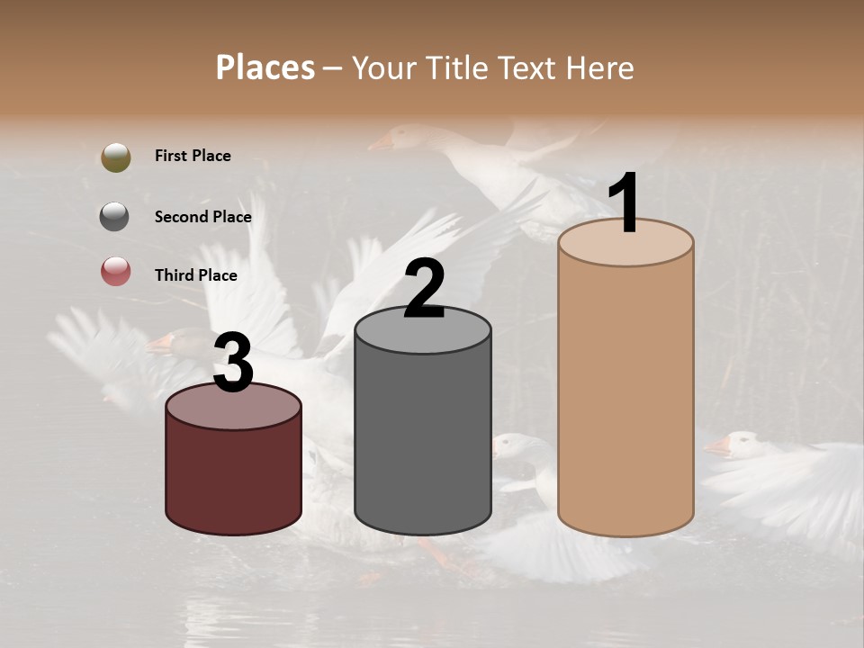 A Flight Of White Geese PowerPoint Template