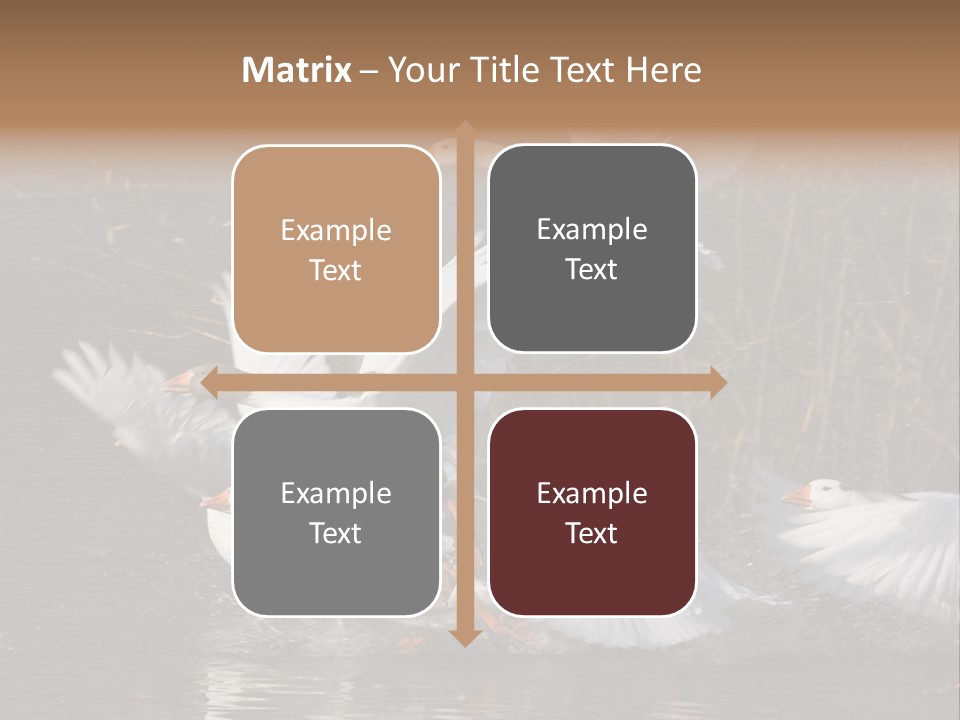 A Flight Of White Geese PowerPoint Template