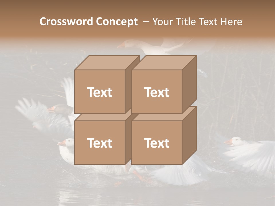 A Flight Of White Geese PowerPoint Template