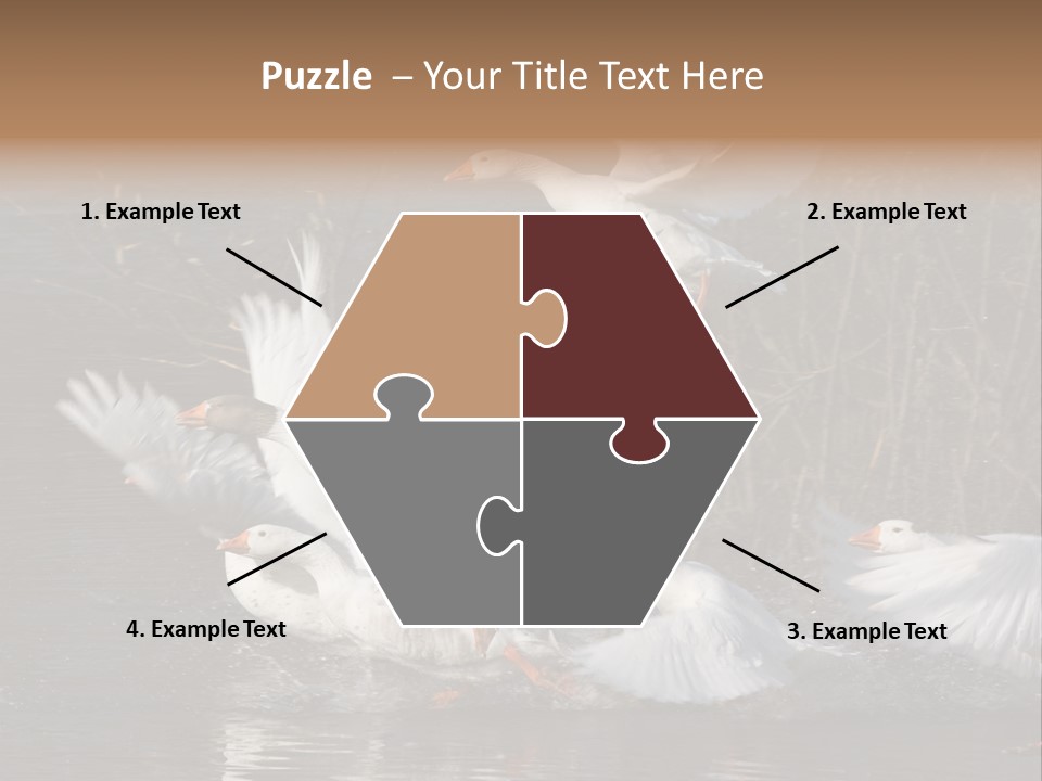 A Flight Of White Geese PowerPoint Template