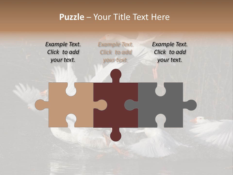 A Flight Of White Geese PowerPoint Template