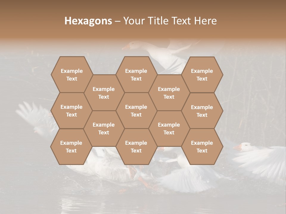 A Flight Of White Geese PowerPoint Template