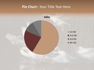 A Flight Of White Geese PowerPoint Template