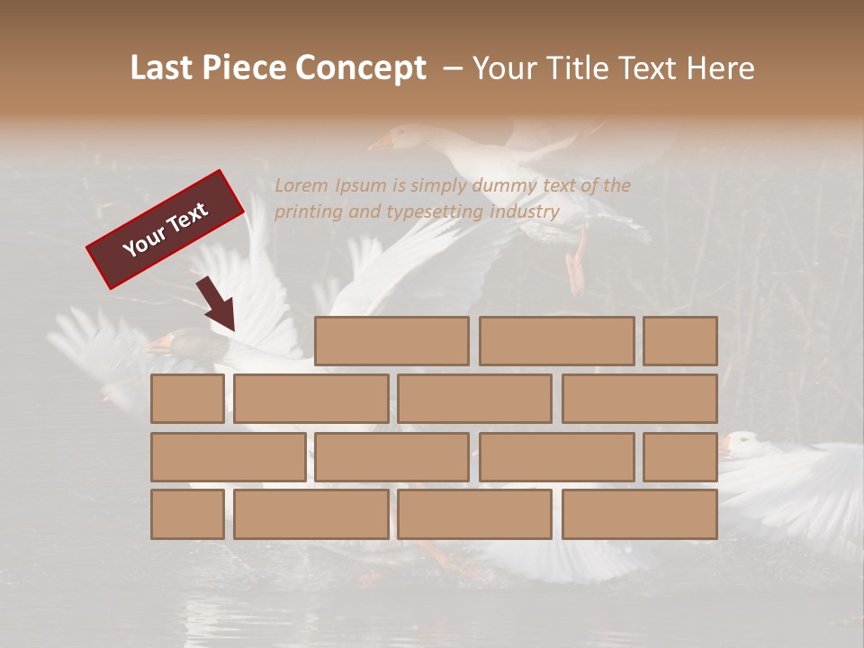 A Flight Of White Geese PowerPoint Template
