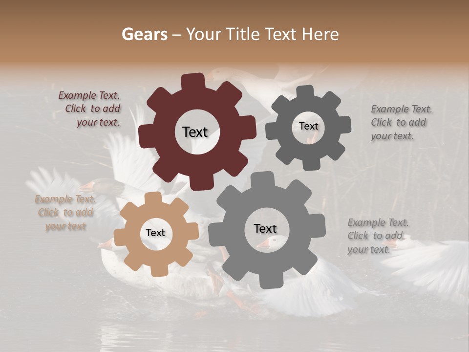 A Flight Of White Geese PowerPoint Template